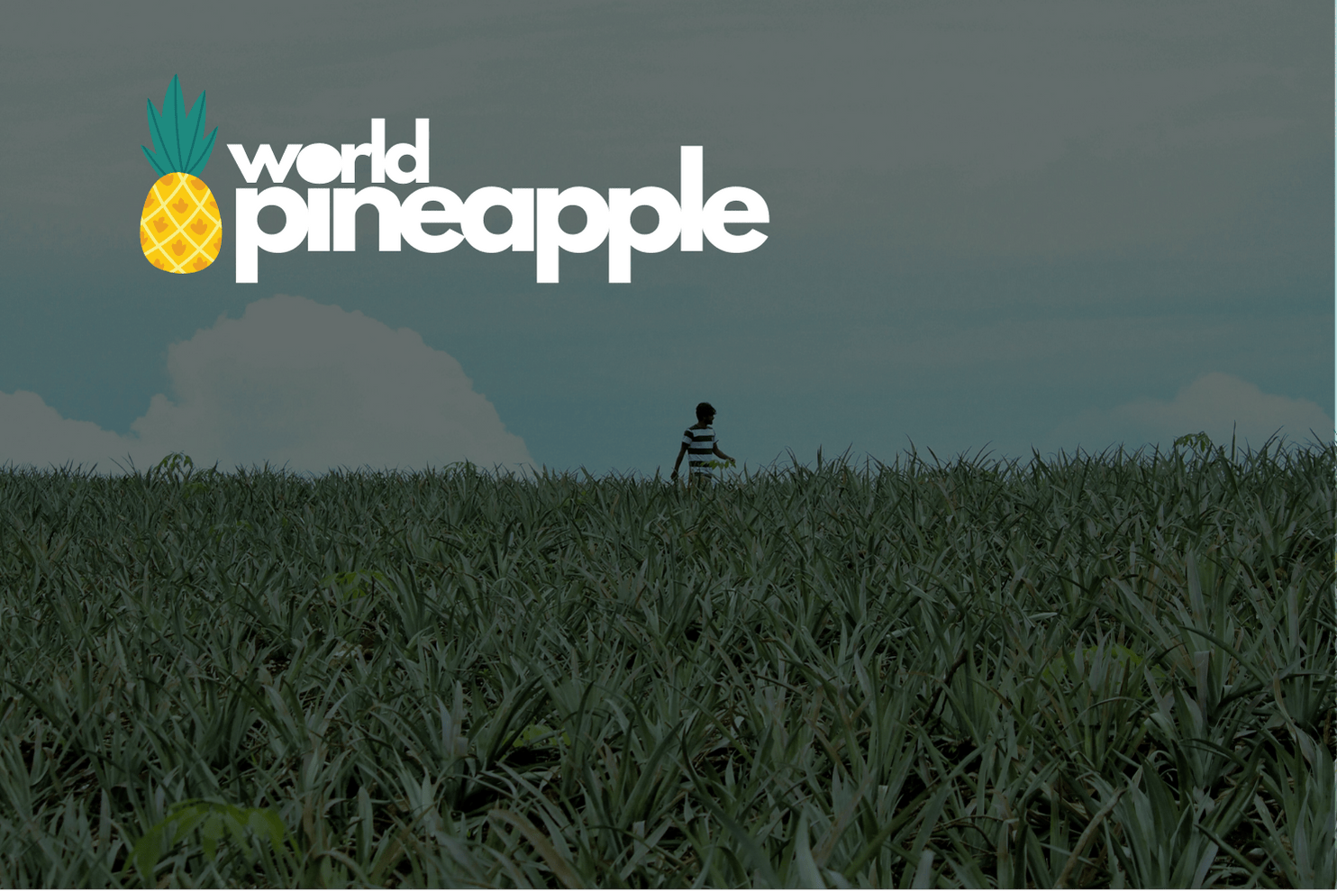 world pineapple