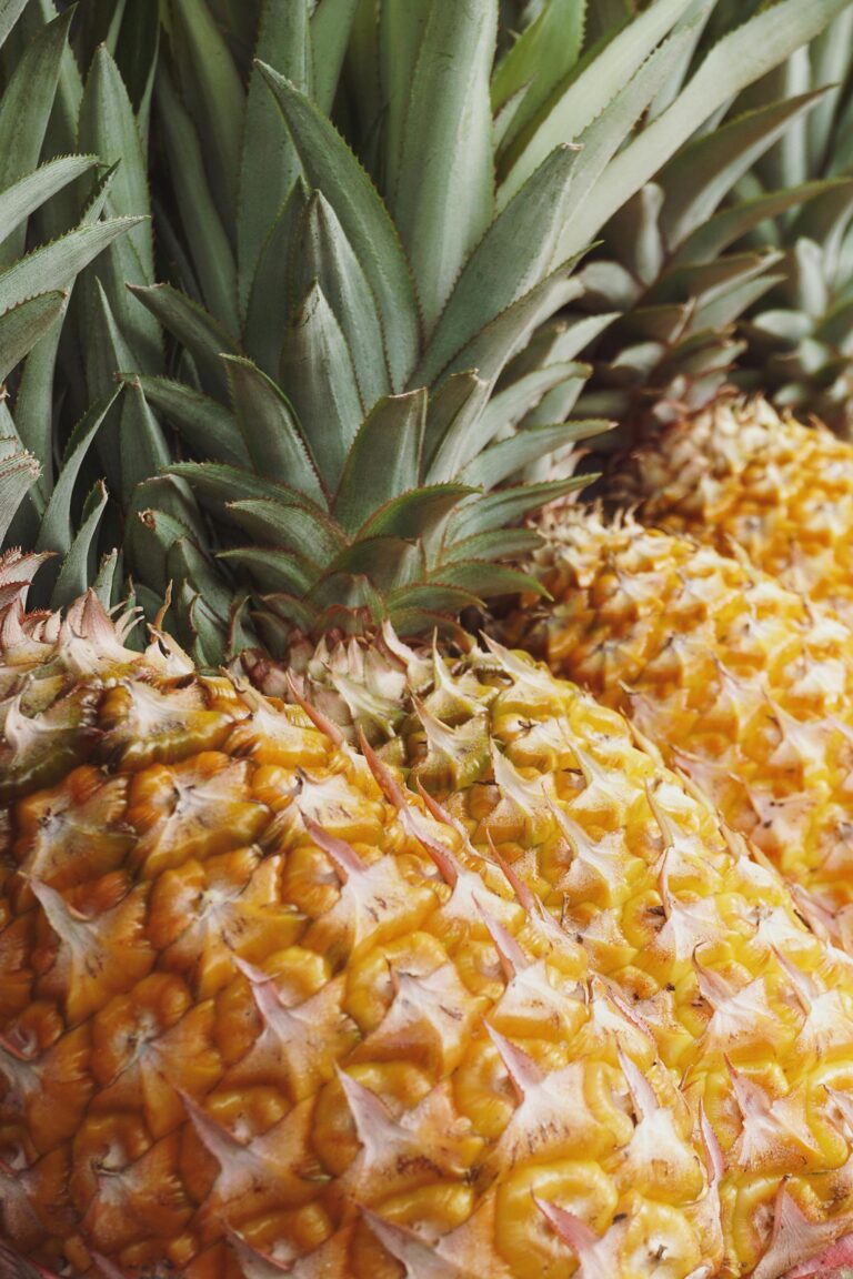 world pineapple